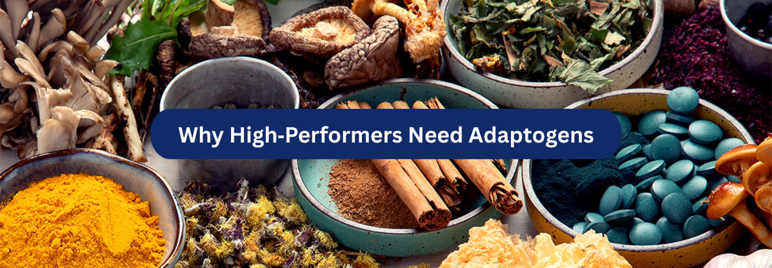 The Benefits of Adaptogens: Stress Relief for High Performers