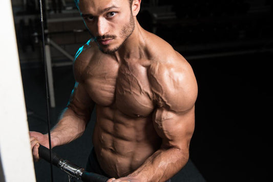 Harness Perpetual Pump for Every Workout! | Sports Nutrition By Max Muscle